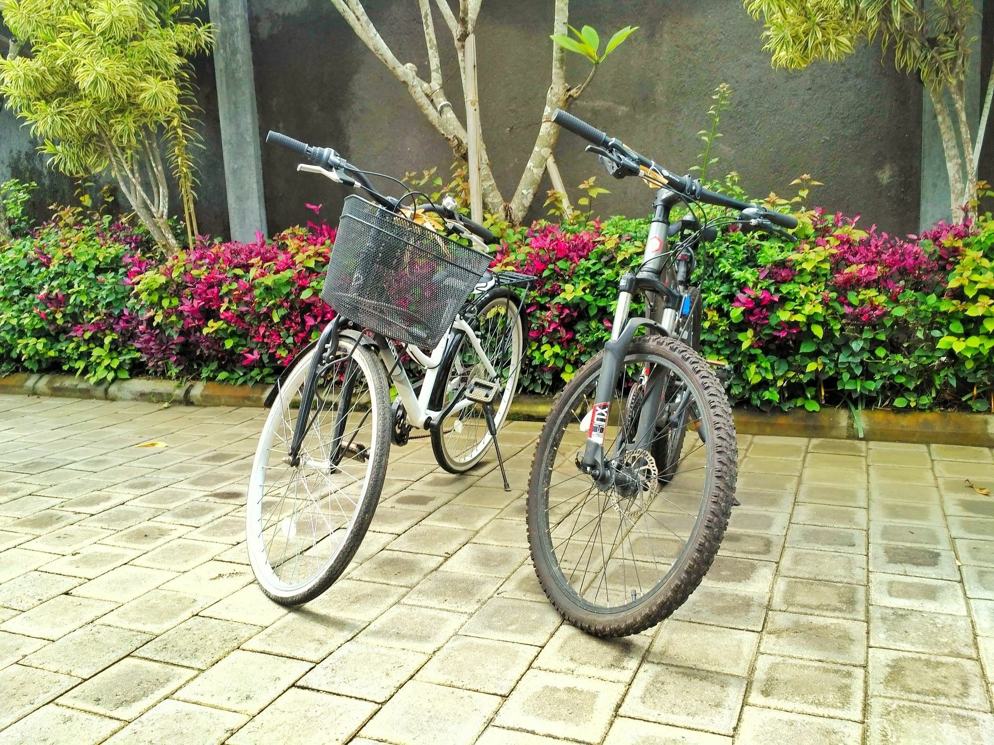 Amelle Villas & Residences Canggu Εξωτερικό φωτογραφία